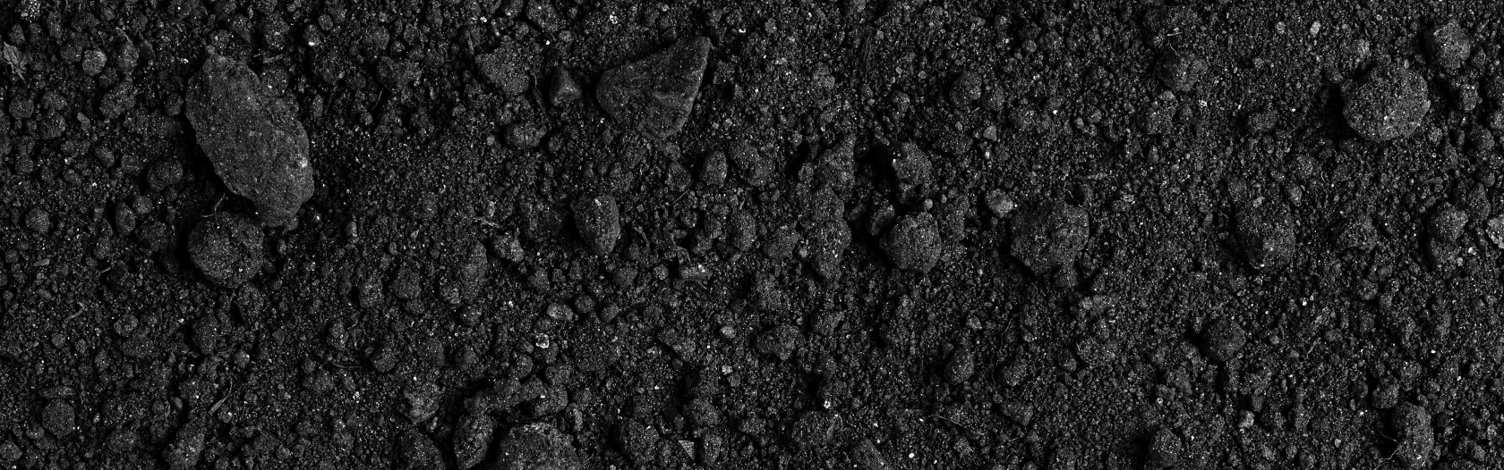 the_five_elements_earth