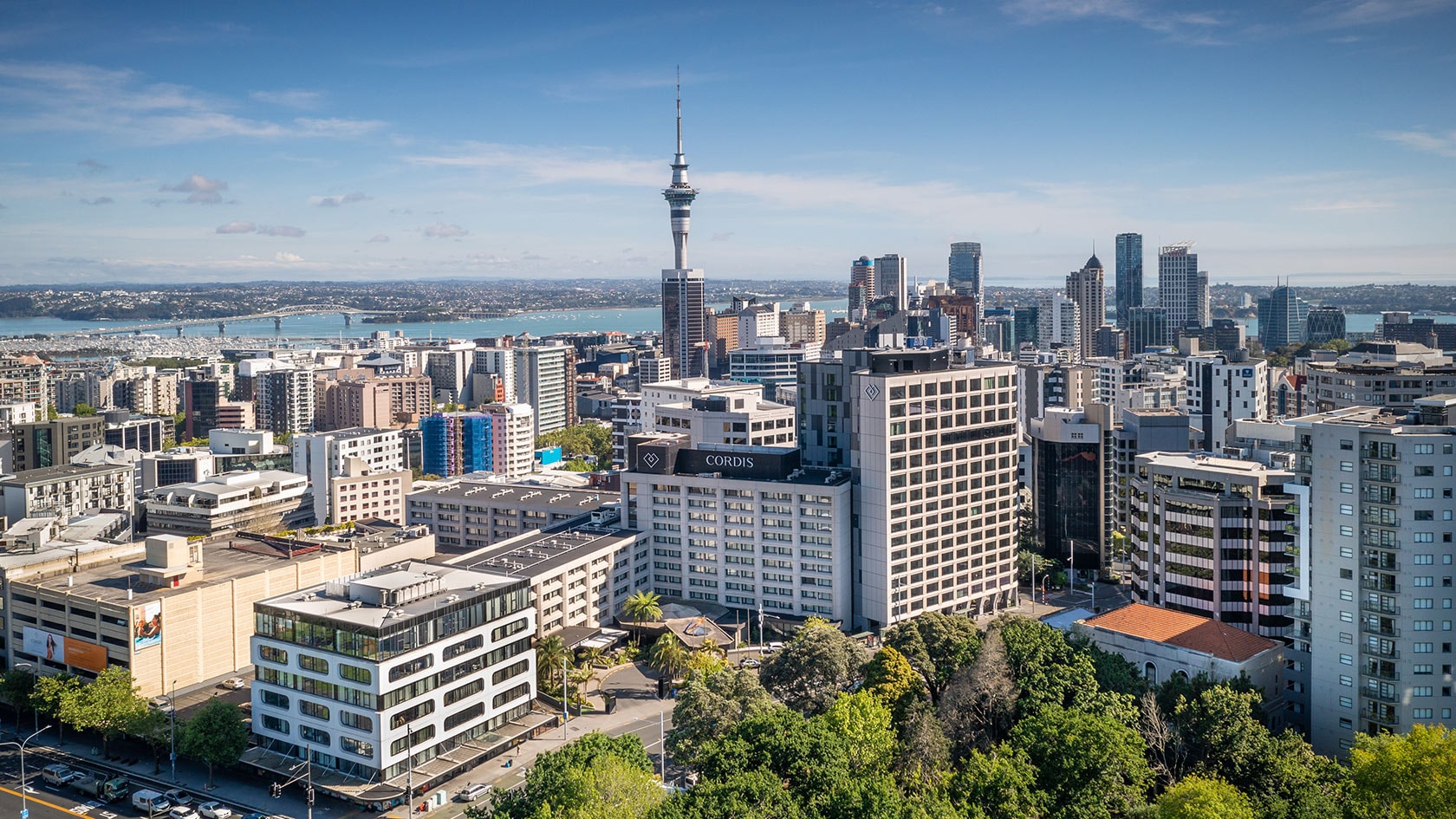 Cordis, Auckland 